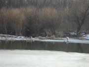 12 марта река Хопёр